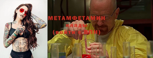прущие грибы Бородино