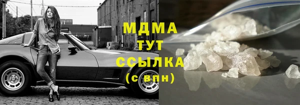 прущие грибы Бородино