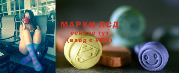 прущие грибы Бородино