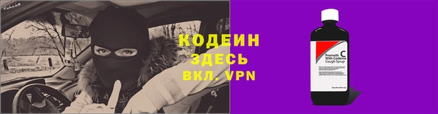 прущие грибы Бородино