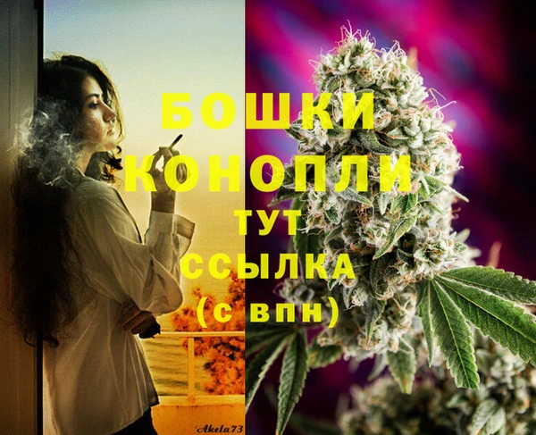 spice Верея