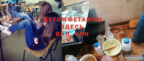 прущие грибы Бородино