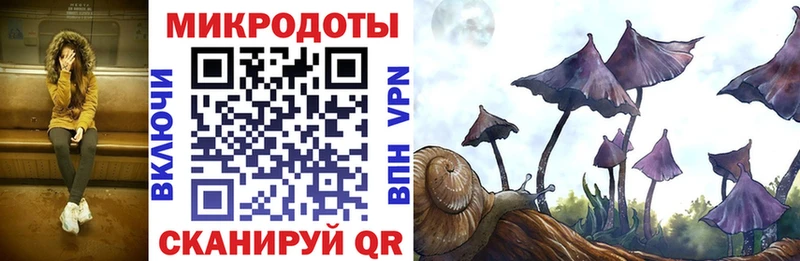 дарнет шоп  Стерлитамак  Галлюциногенные грибы Psilocybine cubensis 