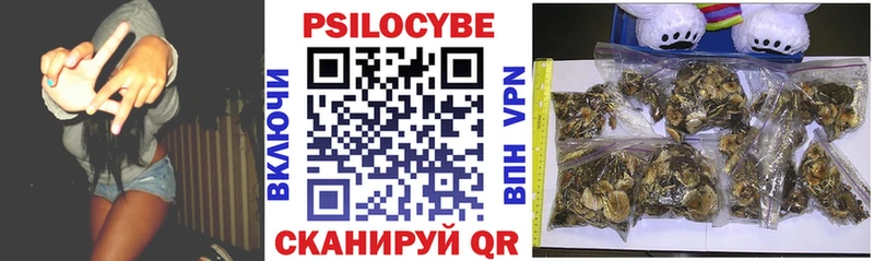 Галлюциногенные грибы Cubensis Стерлитамак